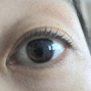 원주 프리미엄 아울렛(5층) | [원주]아이레 원주 속눈썹펌 베스트 보톡스펌 이용 후기- 추천