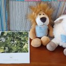 게임천국나라사랑 이미지