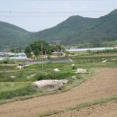 영광 성산리 지석묘군 이미지