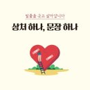 강이청과