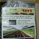 대실농장 이미지