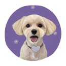 하얀이언니네 이미지