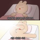 황금실내마차 이미지