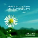 지혜광고