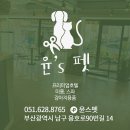 윤스피부미용