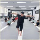 TL태권도 이미지