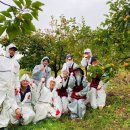 구덕서농장 이미지