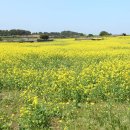 우도피아 이미지