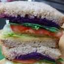 오늘은 샌드위치 이미지