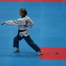 한림태권도체육관 이미지