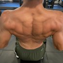 더하다 피티샵 이미지