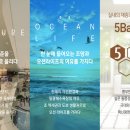 비스타동원공인중개사사무소 이미지