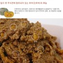 (주)산시아코리아 | 산시아코리아] 고양이 : 릴리 주식캔 체험 후기