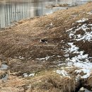 명가추어탕쭈꾸미 | 2월 한 달 | 치킨나라 피자공주