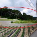 양지-3334 이미지