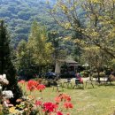 하이디 펜션 이미지