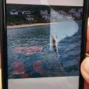 와일드피싱 | [호텔]다낭 인터컨티넨탈 액티비티 후기 (바구니배 낚시, 그물낚시,피자만들기, 와일드 익스페디션)