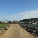 신도리-5 이미지