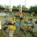 대나무골농장 이미지