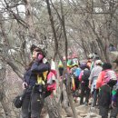 관악산길 이미지