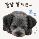 유도리 | 종각역맛집 젊음의 거리 유도리 이자카야 모듬꼬치 내돈내산 후기