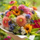 꽃가지화원 이미지