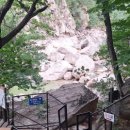 대청밧데리 이미지