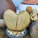 청풍하트레이크 이미지