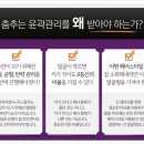 끌리메 대전시청점