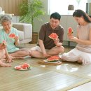 왕대 | 백세건강 춘향이 왕대자리 매트 대나무 돗자리 사용 후기