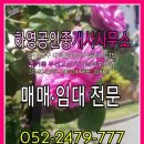 하영공인중개사사무소 이미지