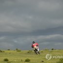 초원을 달리자 이미지