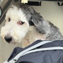 두루몽실 이미지