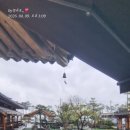 몽에뚜와르단청제빵소 | 담양 카페 추천 몽에뚜와르 단청 제빵소 후기｜베이커리 카페 빵 종류 많고 주차 넓음😍