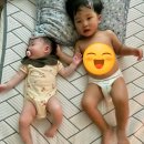 (주)혜성환경 네이버블로그