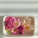 레나세르 | 부케말리기 공방_💐레나세르 후기💐
