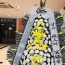 우리효요양병원 이미지