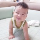 가야진족 이미지