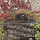 완산도서관 화장실 이미지