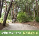 (2026.10.03) 강릉바우길 10구간(심스테파노길) 이미지