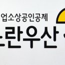 노란우산 깨면 '건보료 폭탄' 이미지