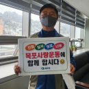 나무포 이미지