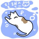 아브뉴프랑 블루 이미지