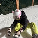 케이디(KD)푸드 | 지산 스키장 야간 보드 솔직 후기! 렌탈샵 추천 &amp; 싸게 가는 법 (feat. 고양이 헬멧)