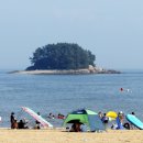 연포해수욕장(송림) 이미지