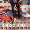 보성집 이미지