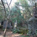 색달무상 이미지