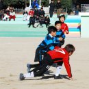 금정초등학교 이미지