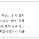 '입국 전 PCR 검사' 폐지…추석부터 국제선 승객 는다 이미지