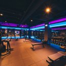 바디채널 첨단점 이미지